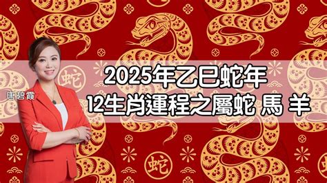 2025蛇年運程|屬蛇/馬/羊生肖運程2025｜蛇年屬蛇情緒易不穩、屬羊比較平